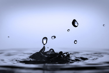 Similar image 153213