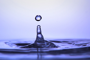 Similar image 153216