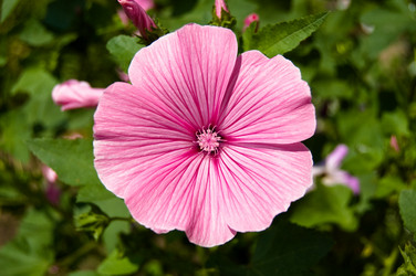 Similar image 153260