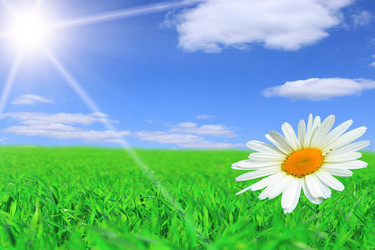 Similar image 153278