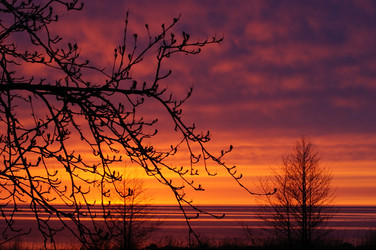 Similar image 153284