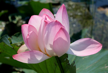 Similar image 153324