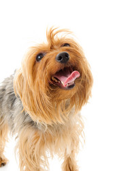 Similar image 153362