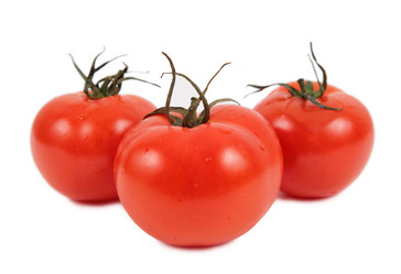 Similar image 153368