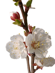 Similar image 153380