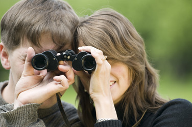 Similar image 153495