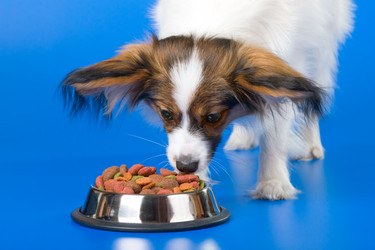 Similar image 153498