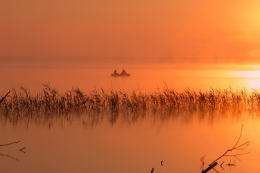 Similar image 153561