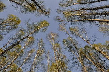 Similar image 153562