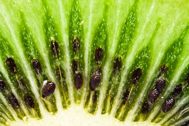 Similar image 153614