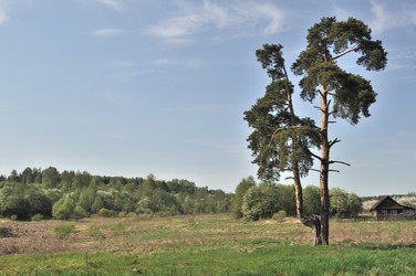 Similar image 153701