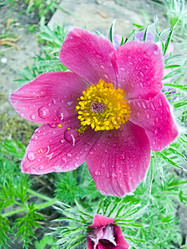 Similar image 153709