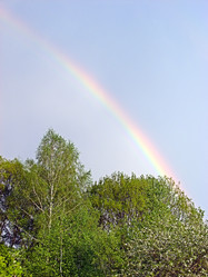 Similar image 153710