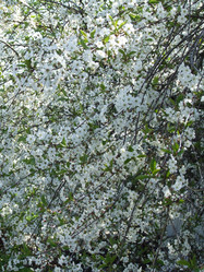 Similar image 153750