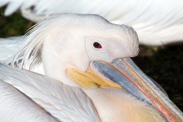 Similar image 153755