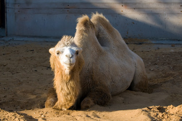 Similar image 153757