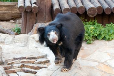 Similar image 153758