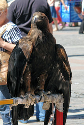 Similar image 153764