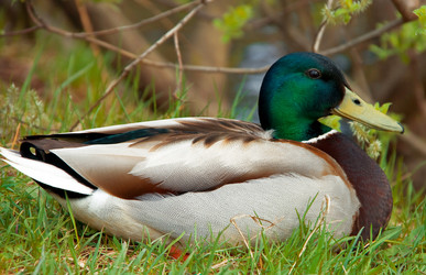 Similar image 153857