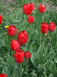 Similar image 153880