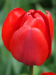 Similar image 153881