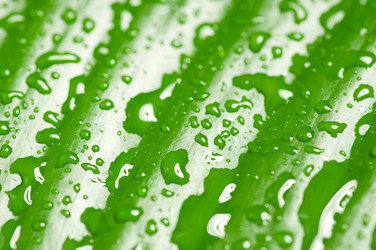 Similar image 153890