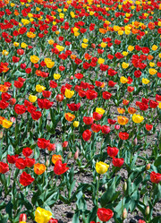 Similar image 153897