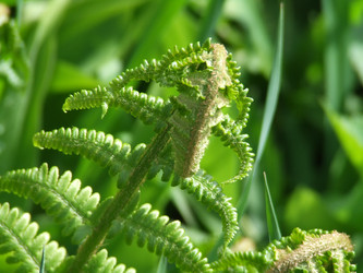 Similar image 153899