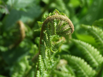 Similar image 153900