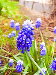 Similar image 153930