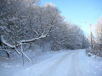 Similar image 153942