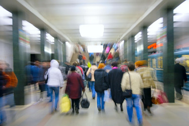 Similar image 154031