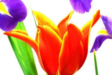 Similar image 154091