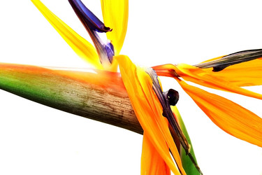 Similar image 154092