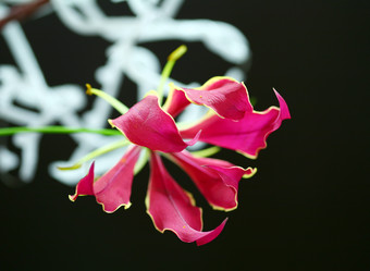 Similar image 154096