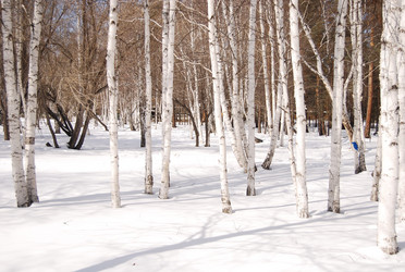 Similar image 154104