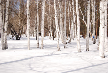 Similar image 154109