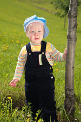 Similar image 154121