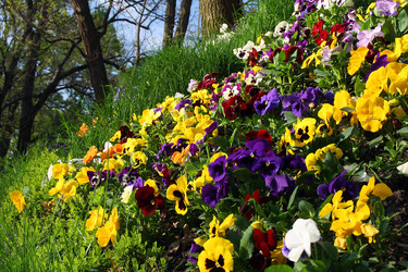 Similar image 154170