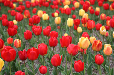 Similar image 154173