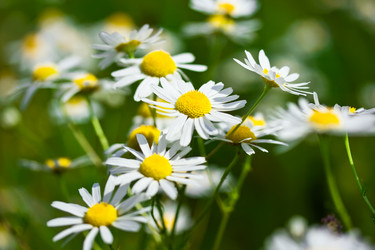 Similar image 154190