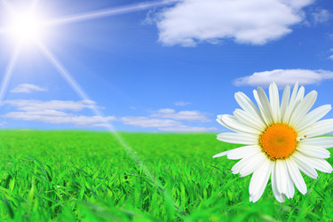 Similar image 154194