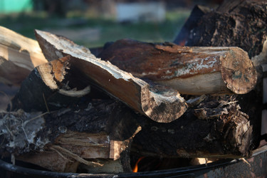 Similar image 154221