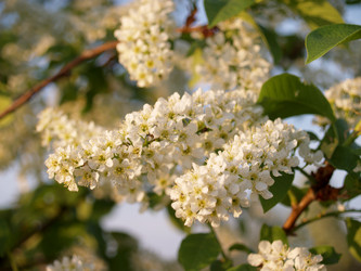 Similar image 154227