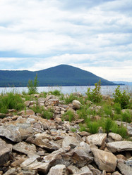 Similar image 154264