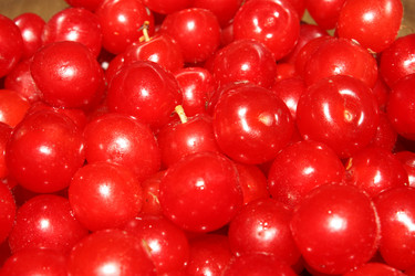 Similar image 154314