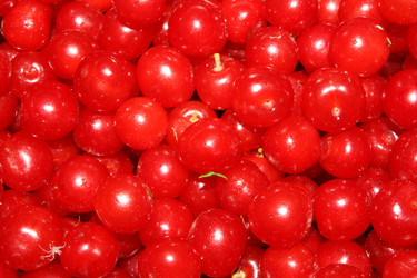 Similar image 154315