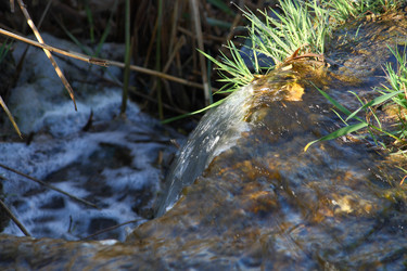 Similar image 154375