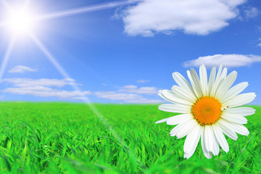 Similar image 154384