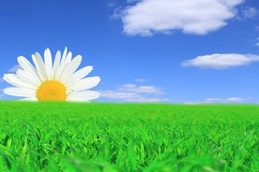 Similar image 154386